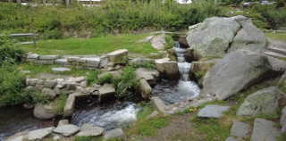 Stony Brook Mill
