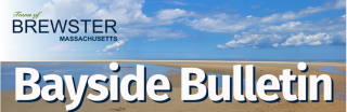 Bayside Bulletin