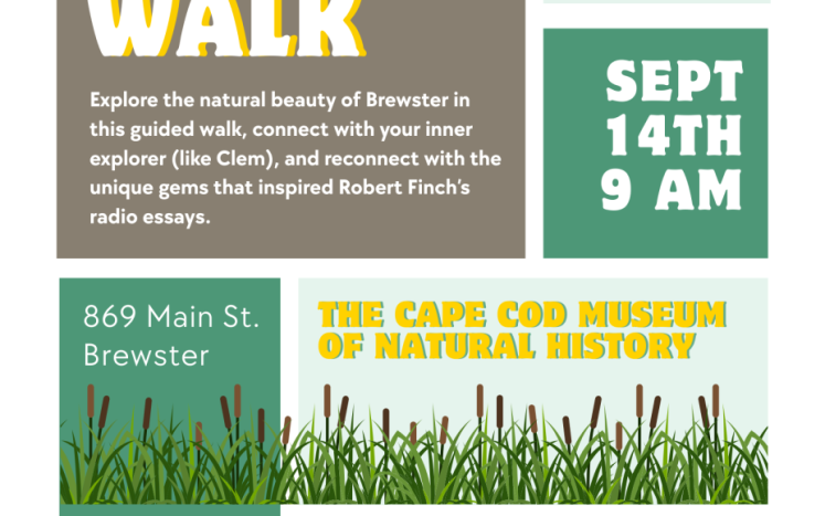 BBI Field Walk Flyer A flyer showing the BBI and CCMNH Logos, the two books, and the date, time and location of the event, in shades of taupe & teal.
