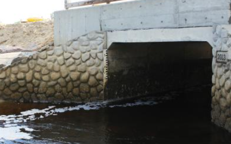 Paine's Creek/Freemans Pond Culvert