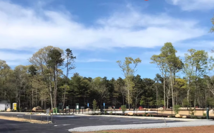 Dog Park