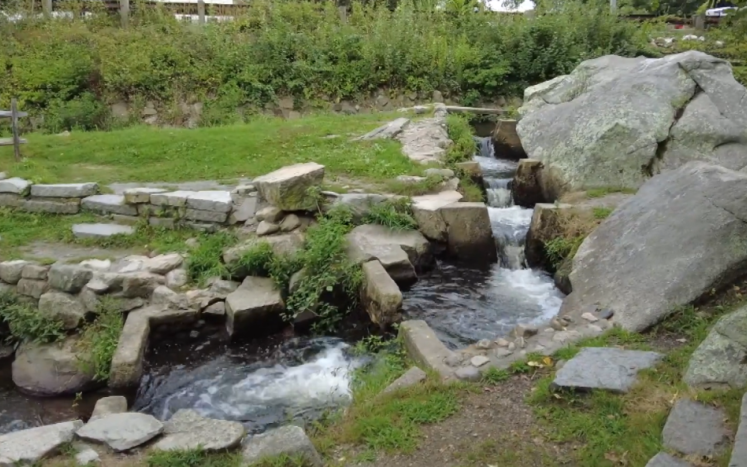 Stony Brook Mill