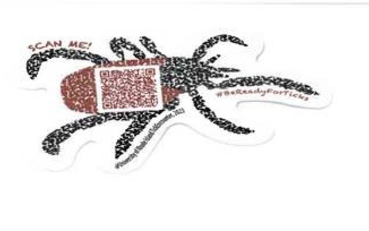 Tick