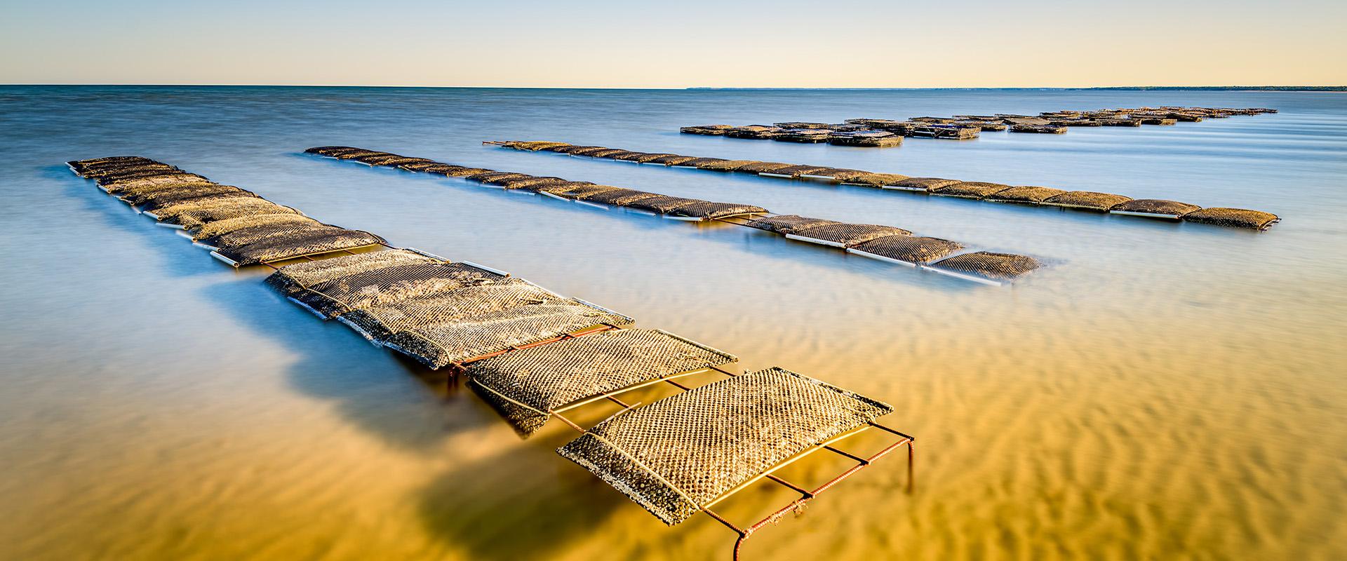 Photo of Drying Rack On Flats
