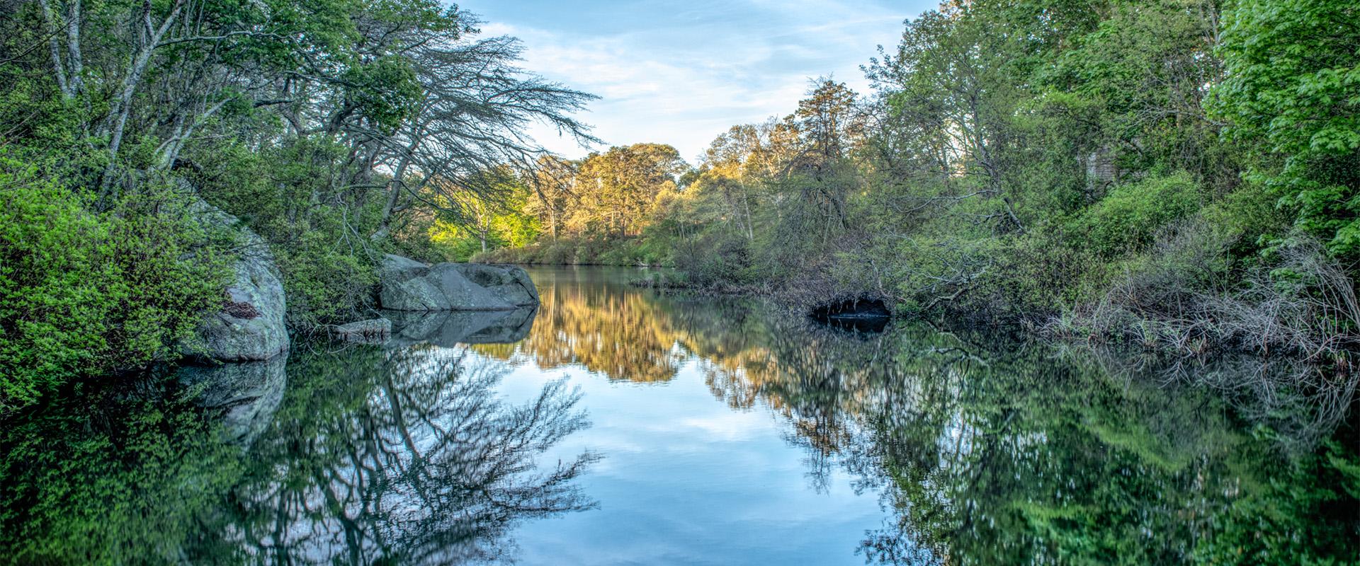 Photo of Pond